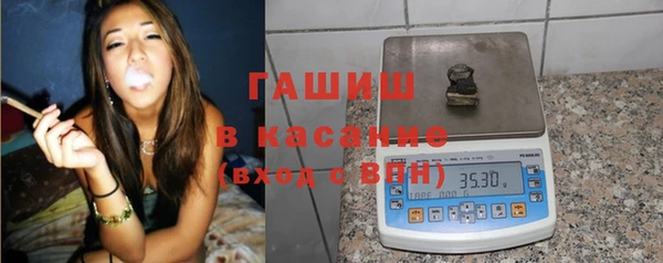 сатива Новозыбков