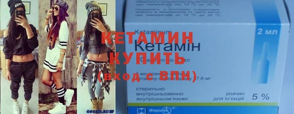 сатива Новозыбков