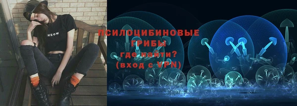 амф Няндома