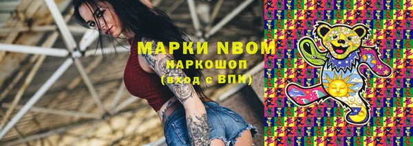 сатива Новозыбков