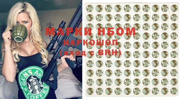 сатива Новозыбков