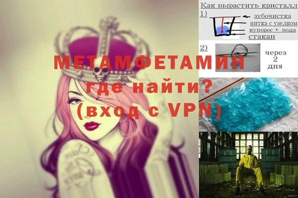 сатива Новозыбков
