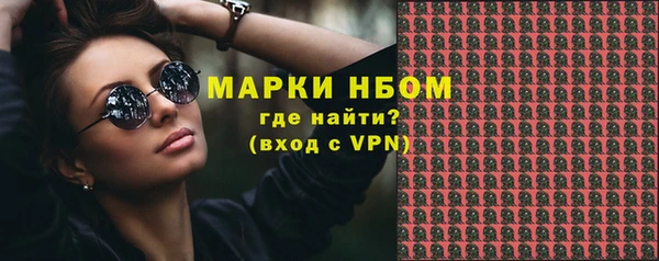 сатива Новозыбков