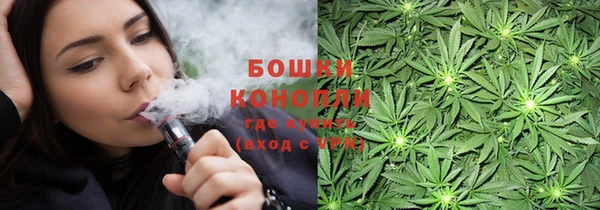 амф Няндома