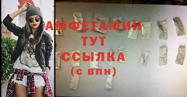 сатива Новозыбков