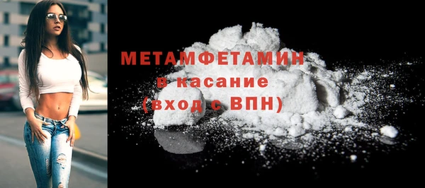 сатива Новозыбков