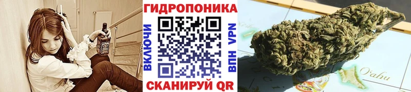 Конопля марихуана  продажа наркотиков  Ковылкино 